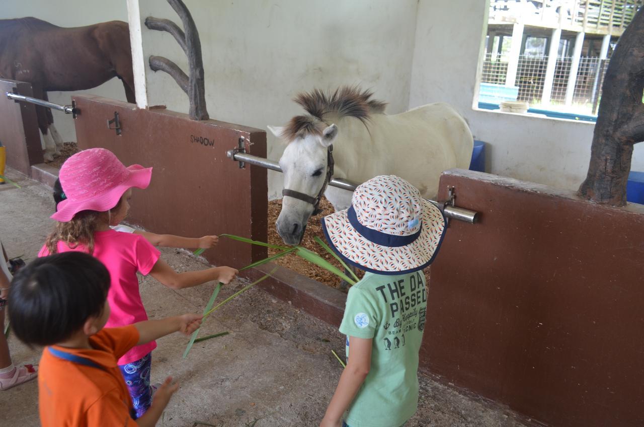 Kampong Bukit Panjang Sinar Eco Resort מראה חיצוני תמונה