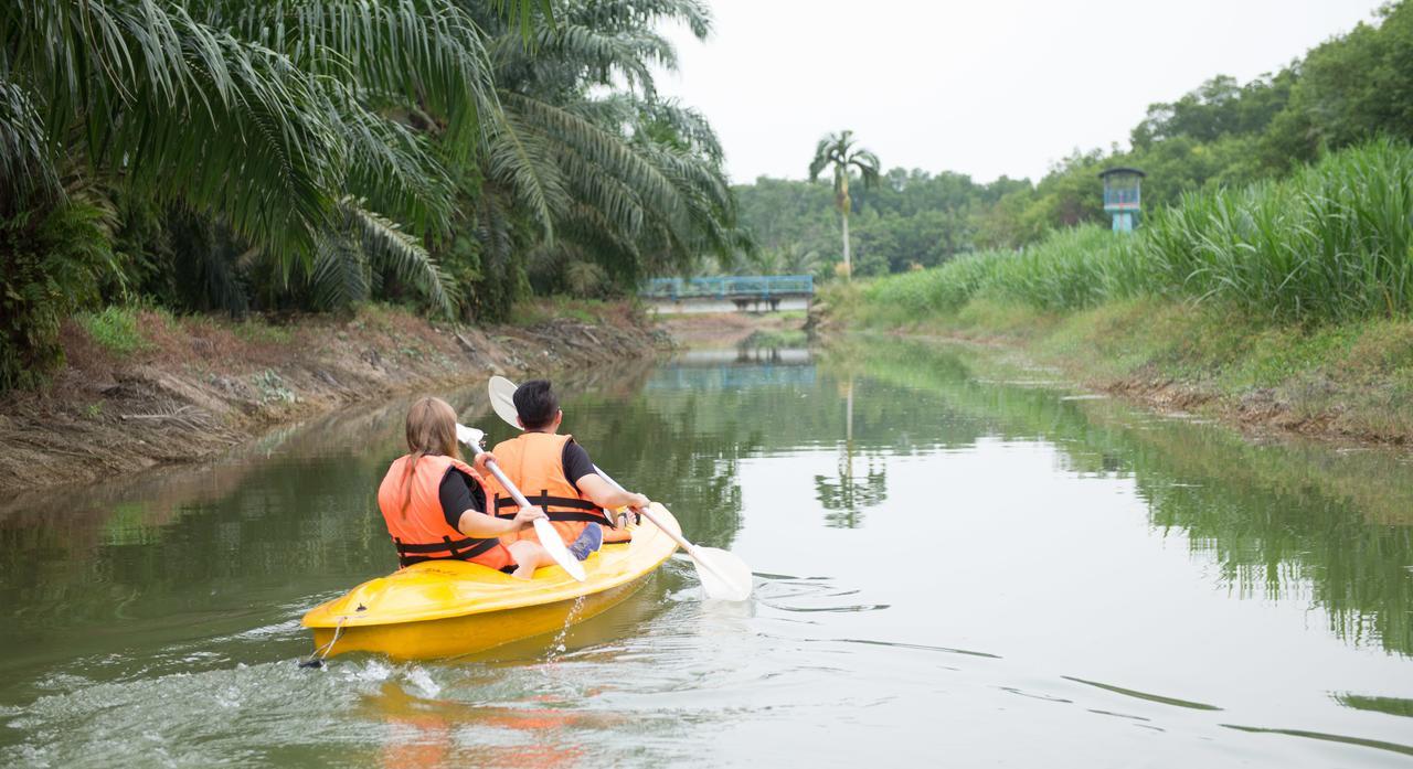 Kampong Bukit Panjang Sinar Eco Resort מראה חיצוני תמונה