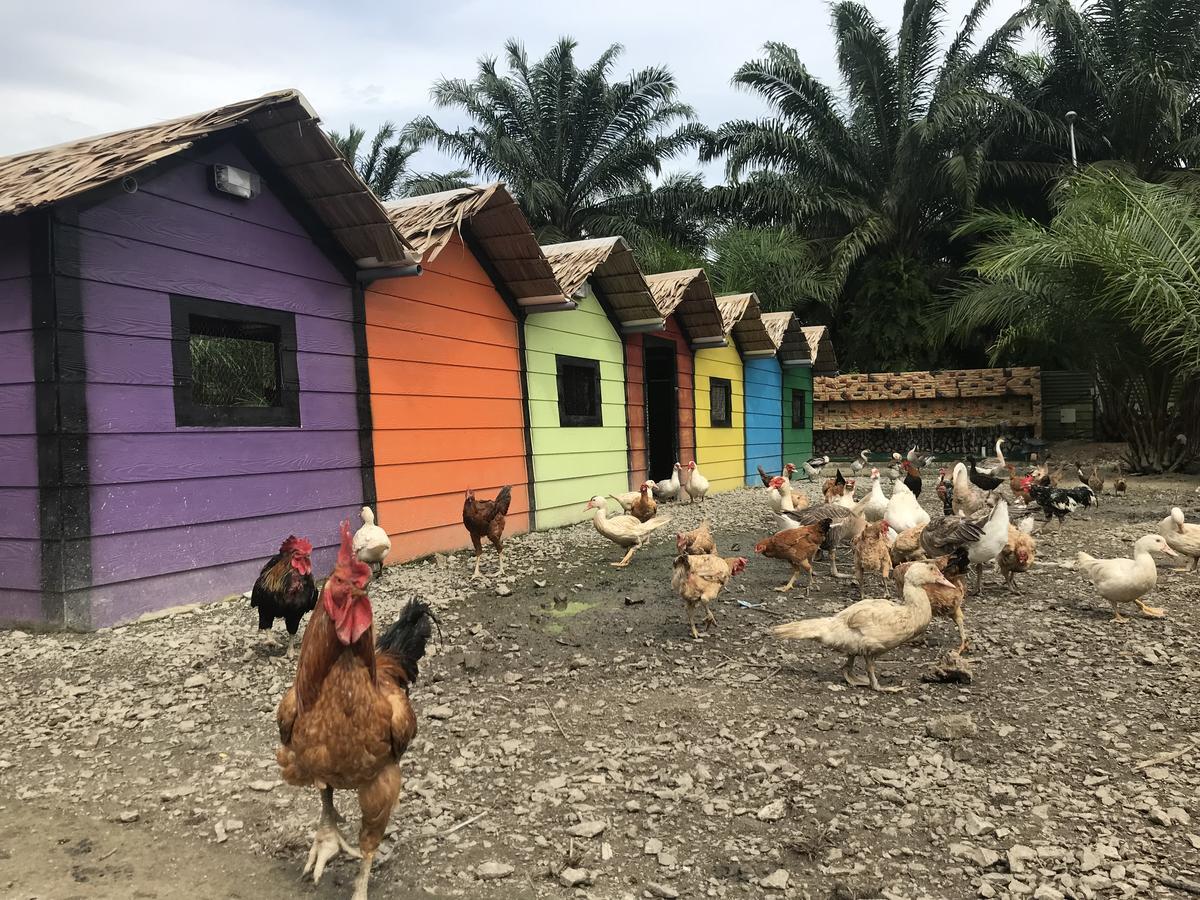 Kampong Bukit Panjang Sinar Eco Resort מראה חיצוני תמונה