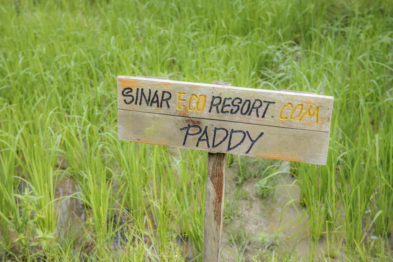 Kampong Bukit Panjang Sinar Eco Resort מראה חיצוני תמונה
