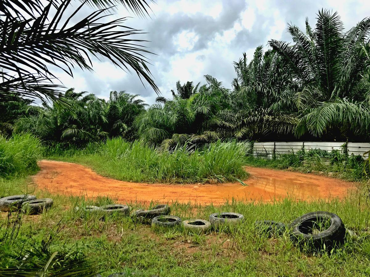 Kampong Bukit Panjang Sinar Eco Resort מראה חיצוני תמונה